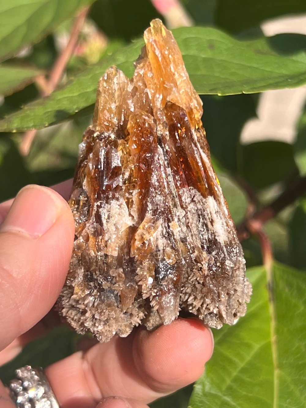 Amber (1) calcite specimen | Crystal